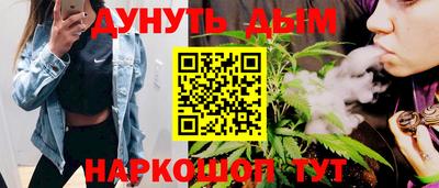 сатива Будённовск