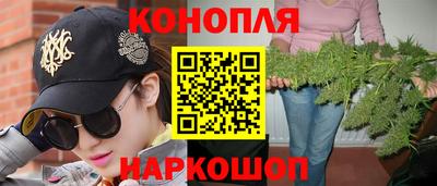 сатива Будённовск